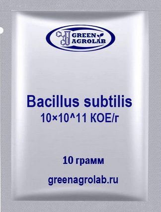 Bacillus subtilis 10×10^11 КОЕ/г (Сенная палочка) - 10 грамм